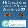 Campaa de prevencin y diagnstico de la filariosis y leishmaniosis