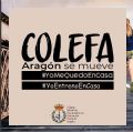 #yoentrenoencasa, nueva iniciativa del Colegio Oficial de Licenciados en Educación Física de Aragón