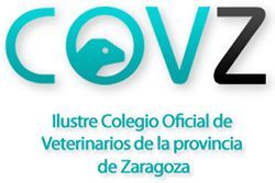 Ampliar foto: Los Colegios de Veterinarios se reúnen con Olona para hablar sobre la administración de la vacuna de la rabia en Aragón